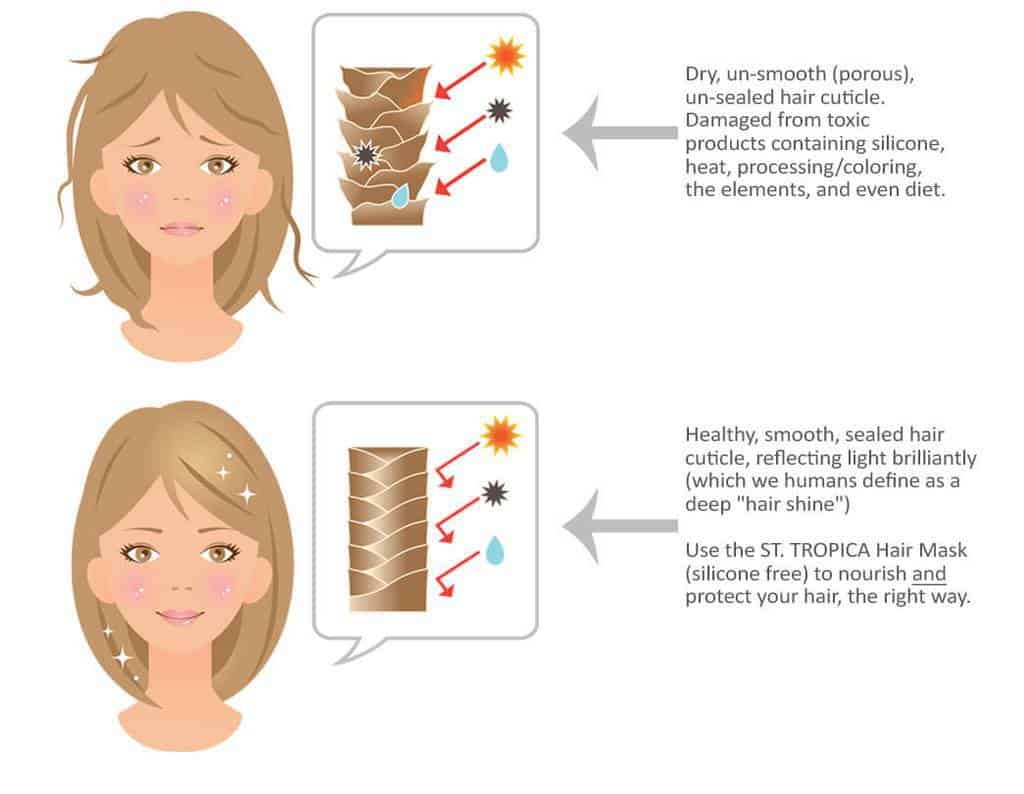 Damaged vs Healthy hair cuticle