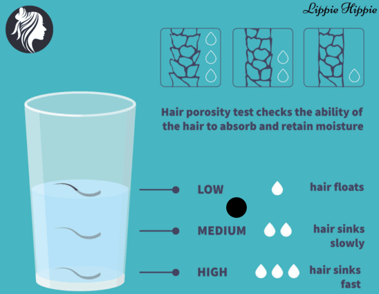 Lippie Hippie hair porosity test